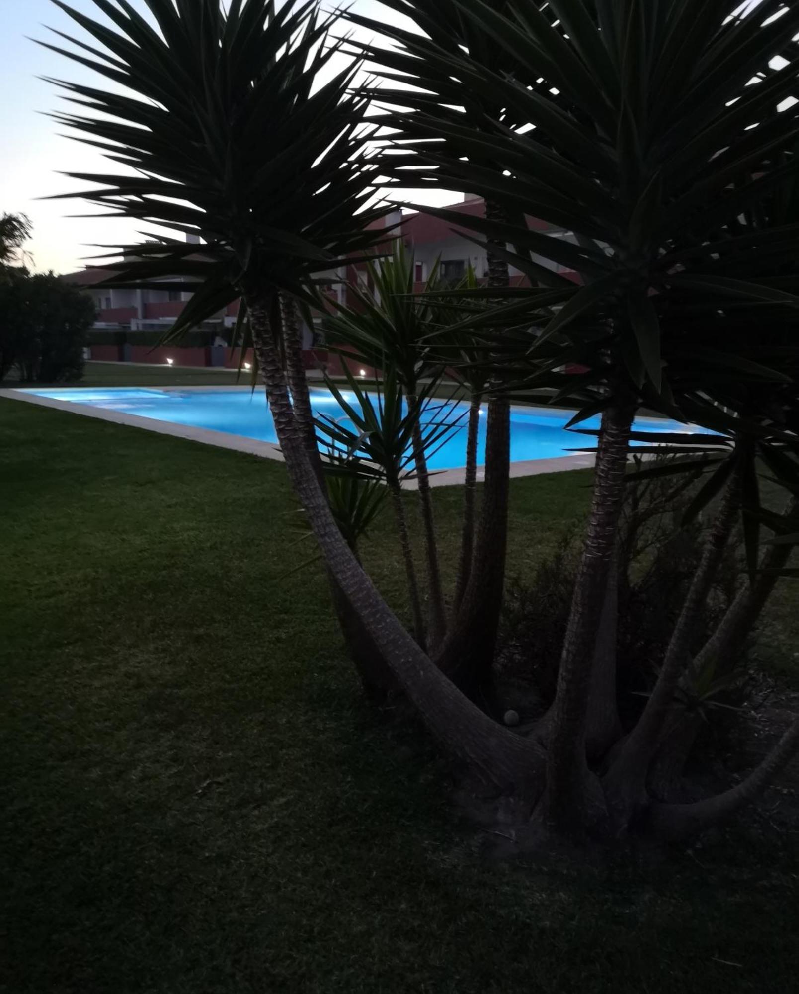Nibho Apartment Esposende Buitenkant foto